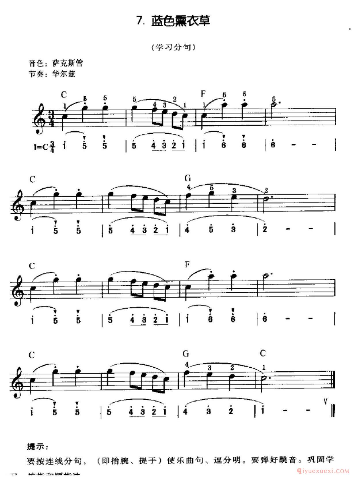 蓝色熏衣草(学习分句)