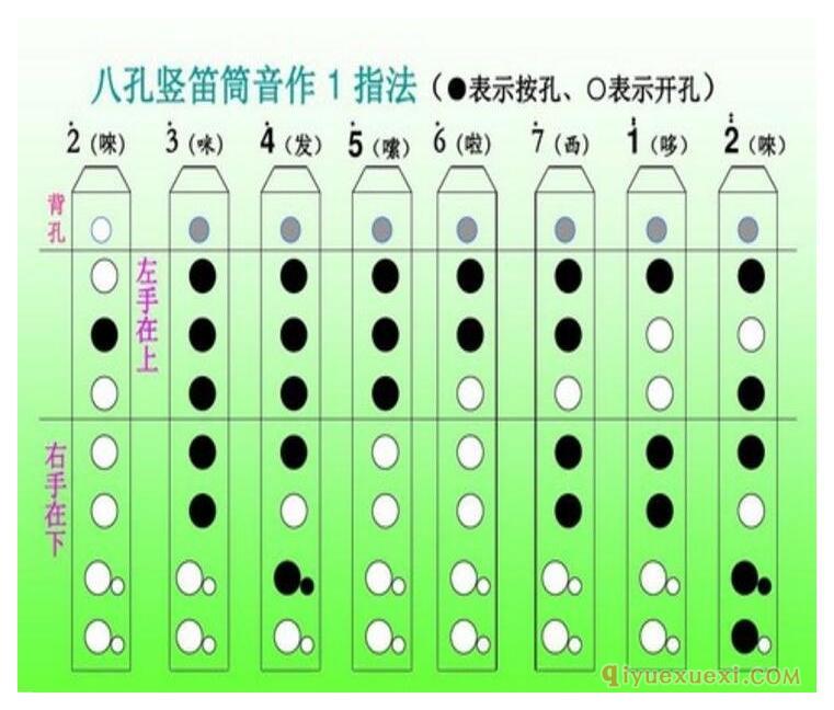 八孔竖笛指法表图解