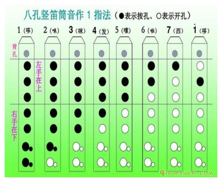 八孔竖笛指法表图解