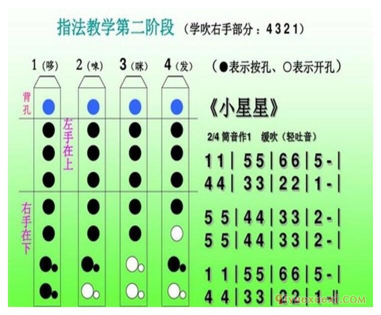 八孔竖笛指法表图解