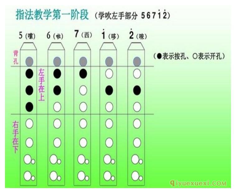 八孔竖笛指法表图解