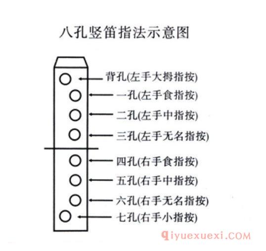 八孔竖笛的结构图解_八孔竖笛指法示意图