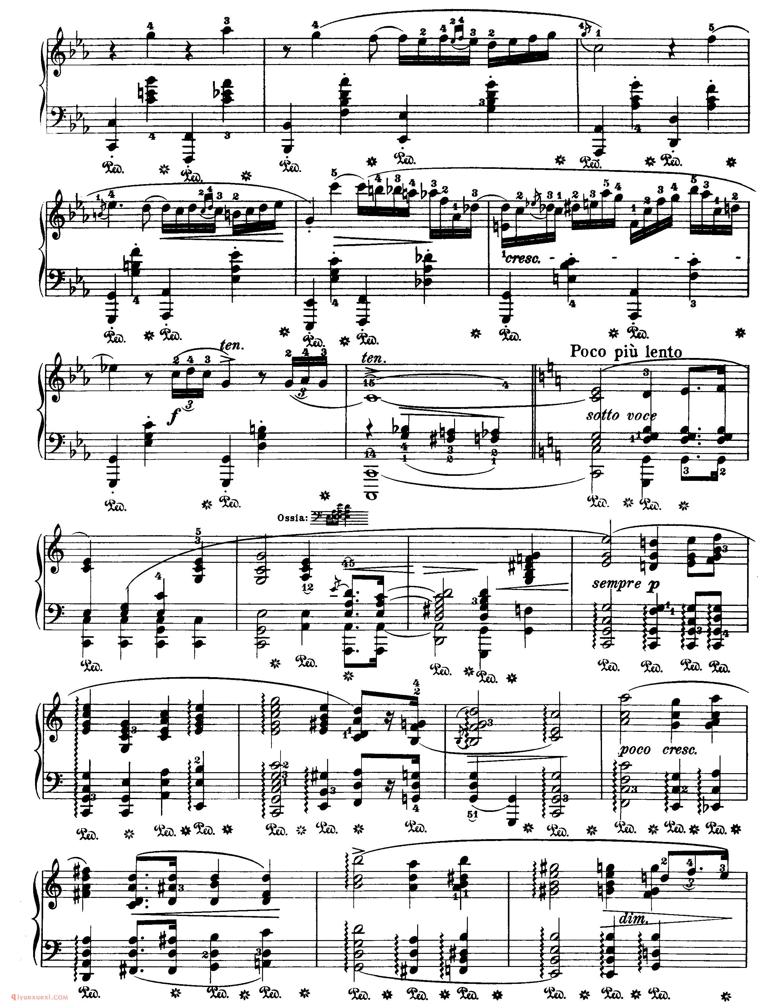 octurne op.48,no.1_c小调作品48-1_夜曲_肖邦钢琴谱