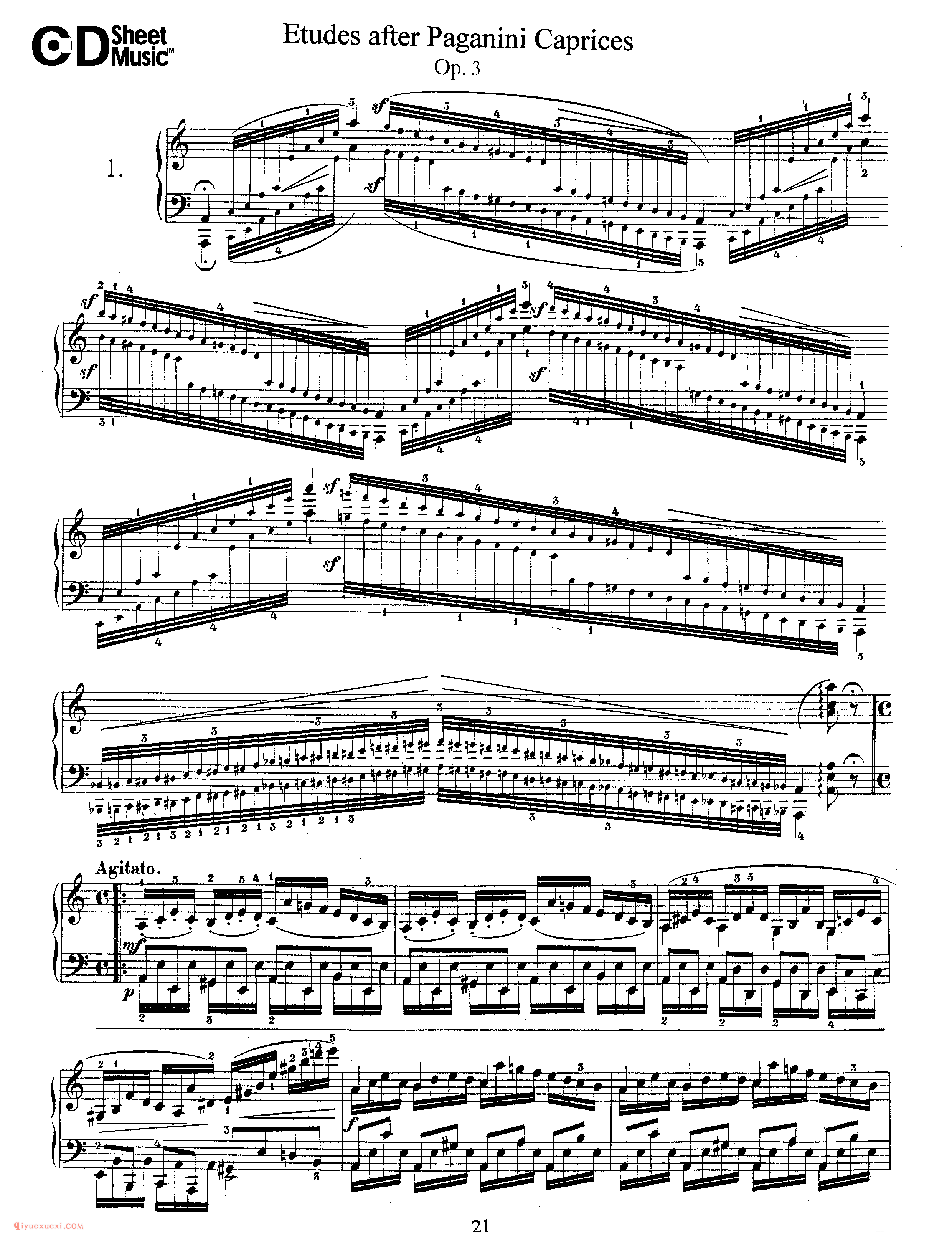 舒曼《帕格尼尼随想曲主题练习曲》作品3_Schumann Etudes after Paganini Caprices Op.3_舒曼钢琴谱