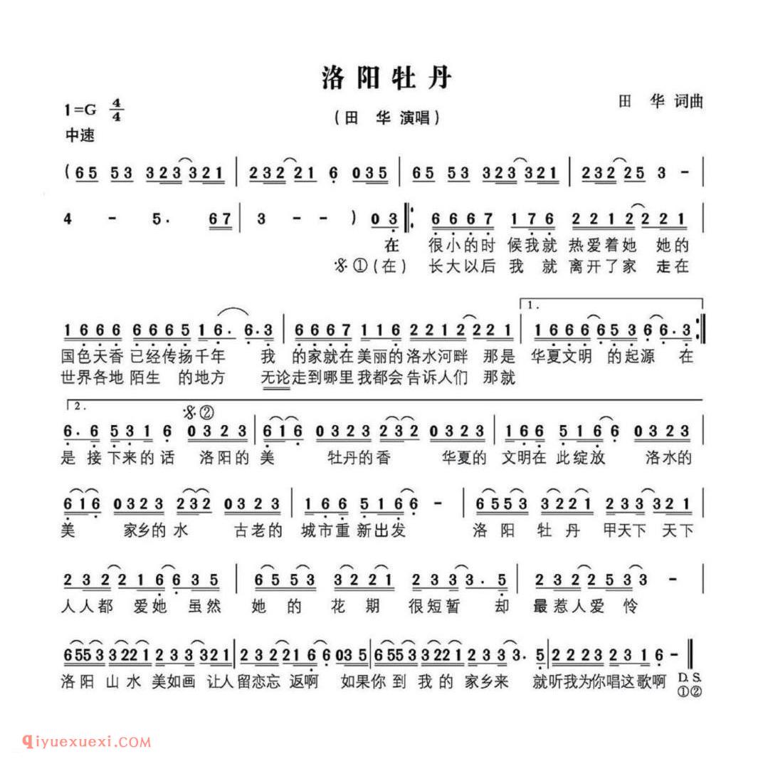 洛阳牡丹简谱