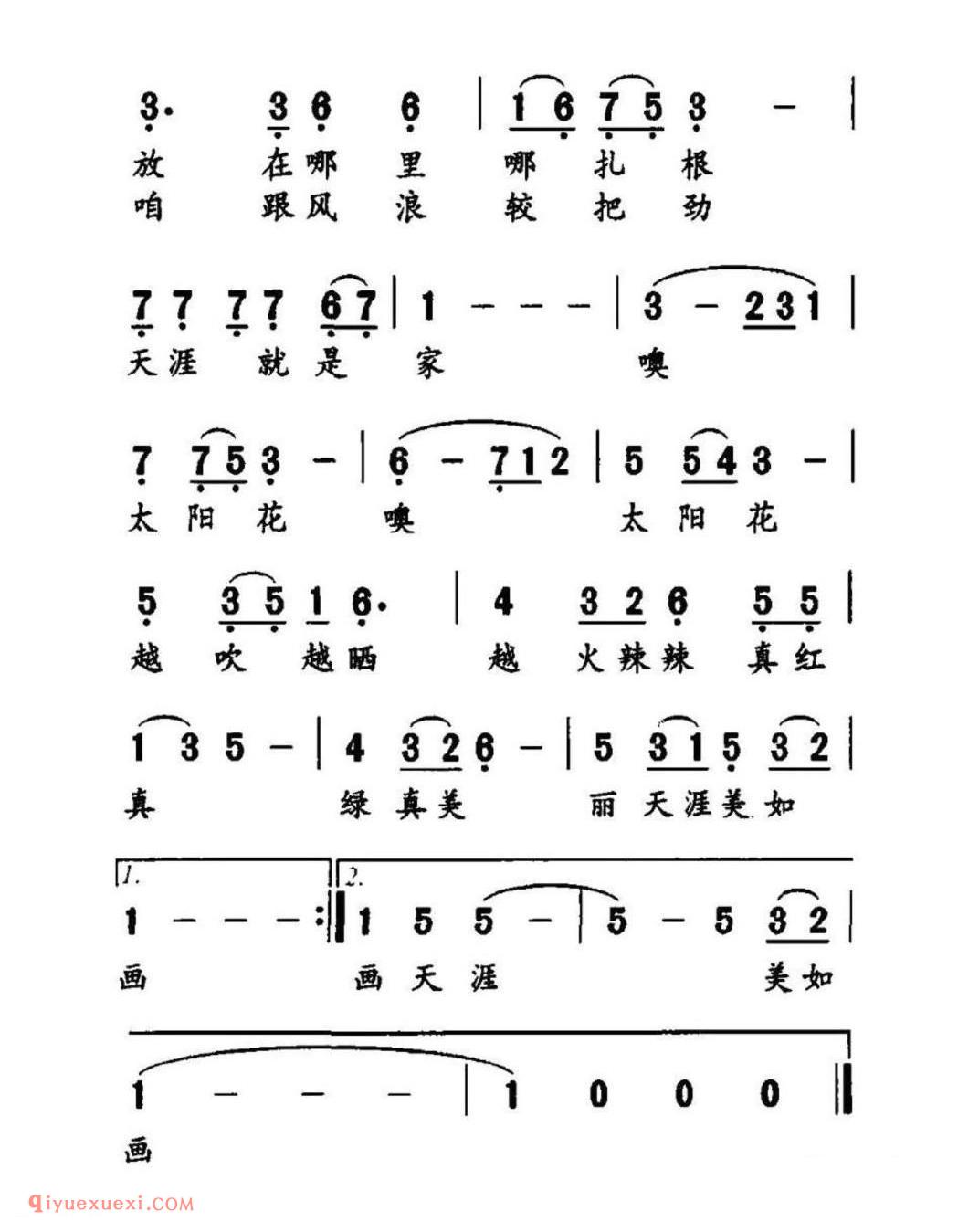 太阳花 刘玉广词 勤农曲