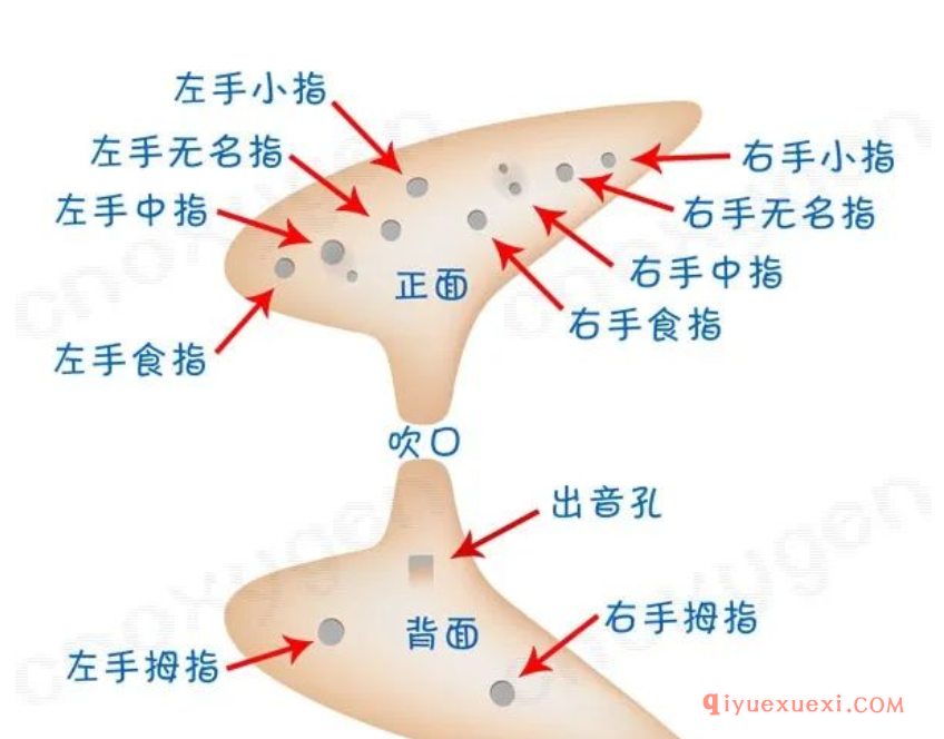 陶笛持笛姿势入门篇