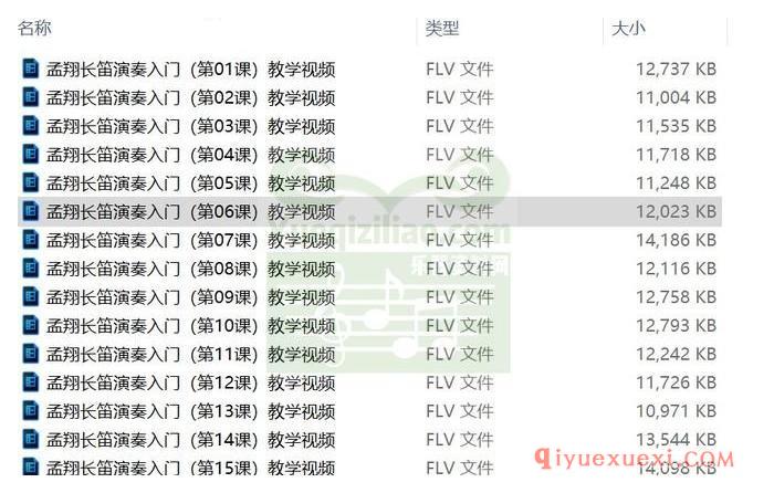 孟翔长笛演奏入门16课FLV教学视频全集下载