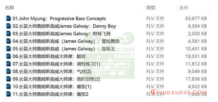 长笛大师詹姆斯高威大师课12讲全集FLV教学视频下载