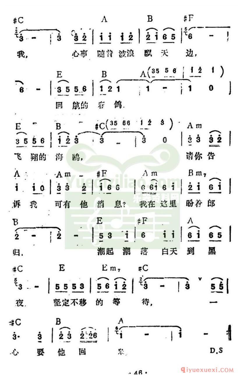 简谱 │ 港边痴情女