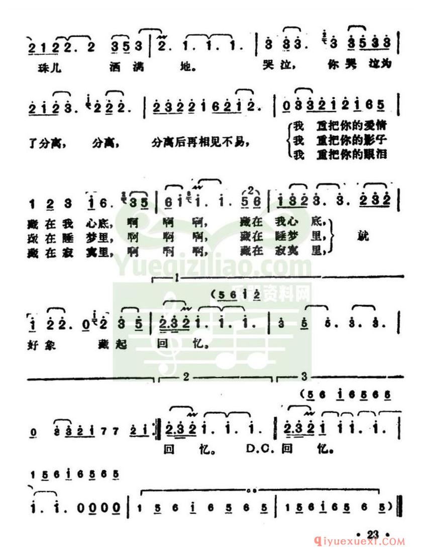 简谱 │ 泪的小雨