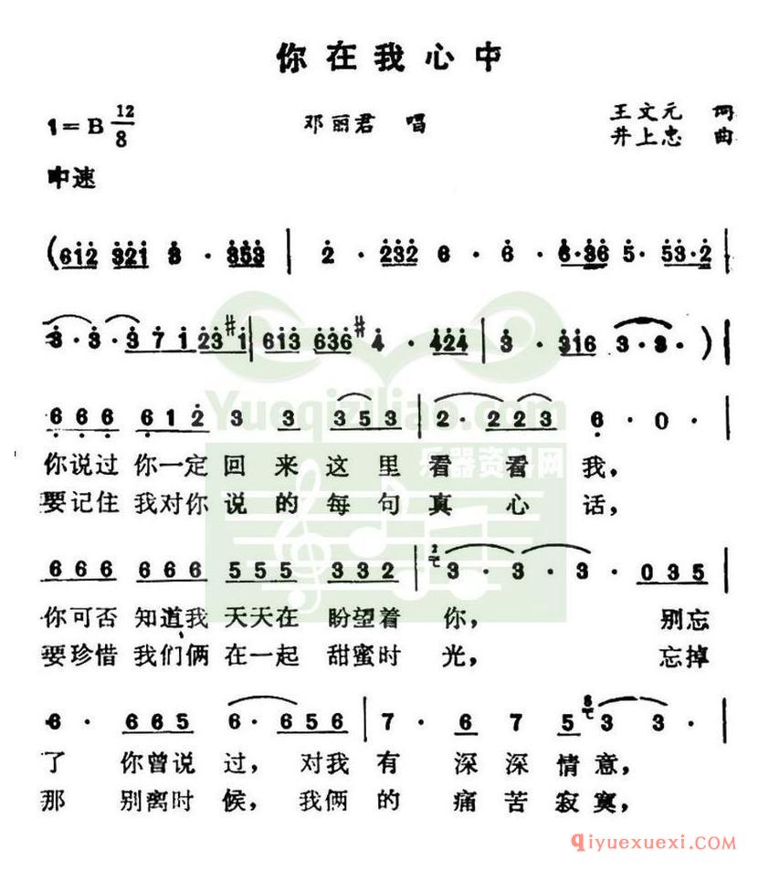 简谱 │ 你在我心中（王文远词 井上忠夫曲）