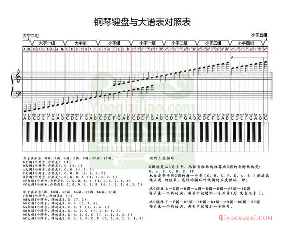 钢琴键盘与大谱表对照表