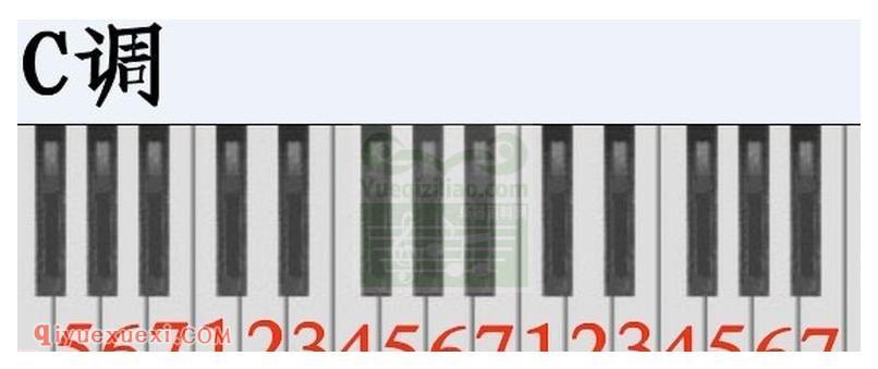电子琴各调多指和弦表