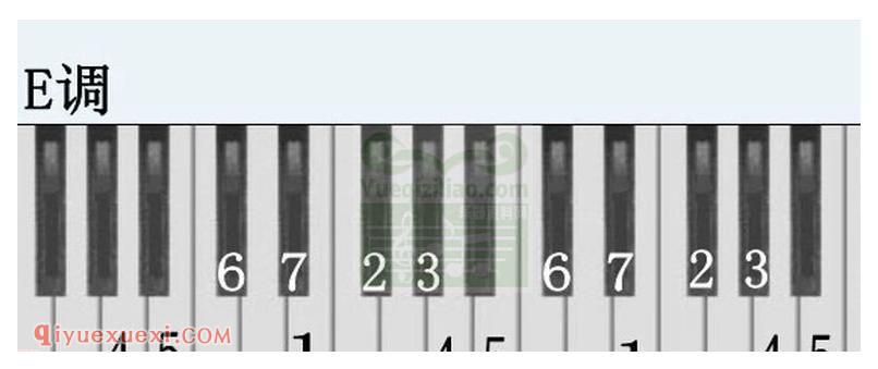 电子琴各调多指和弦表