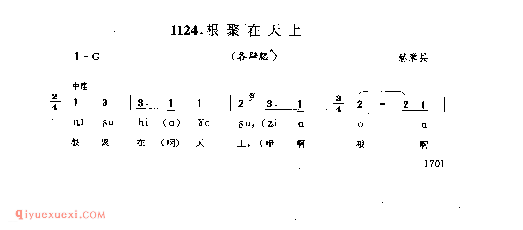 根聚在天上